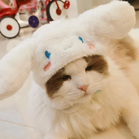 Sanrio Cat Hats