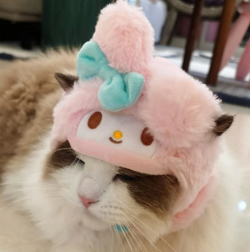 hello kitty wearing hat
