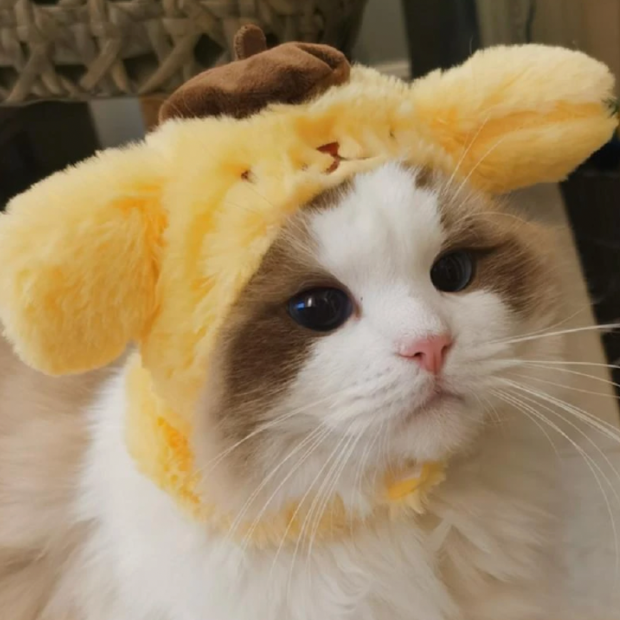 Sanrio Cat Hats – KawaiiLoversClub